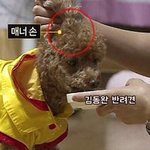 <b>기로</b> 시작하는 남자이름좀