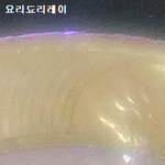 [레이] 사담)요정<b>천사</b>