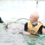 [방탄소년단] <b>사진</b> 좀 부탁해도 될까ㅠㅠ
