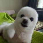 [댓글부탁해] 몸매 <b>중상</b> 178vs 몸매 중하184