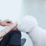 [EXO] <b>세훈이</b>랑 같이하는 비비의 주특기