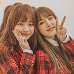 [모두드루와] 아이즈원에 쌍둥이있는거같아