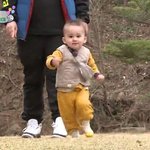 [댓글부탁해] 최애가 ㅈㄴ보고싶으니까 <b>성덕</b>썰 얘기하고 가자