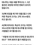 [엑스원] 퀸텀<b>리프</b>