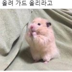 [드루와] 아 미친건가 내일 <b>보충</b> 마지막날인데