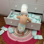 [추반] 날도 더운데 <b>입</b>을<b>옷</b>이 없네