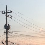 [조언부탁해] 아이패드 뭐사는게 좋을까