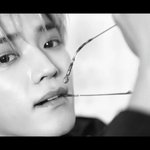 [NCT] 애들 영상 개잘찍는 <b>재능</b> 보일때마다