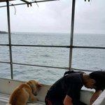 [꼭조언부탁] 주인따라 <b>멀미</b>