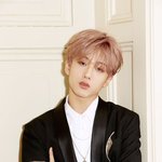 막내를 사랑으로 키우는 드림이들