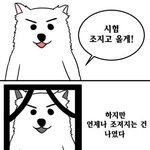 [댓글부탁해] 얘들아̐̈ 진짜 나̐̈ 엄마아빠 못보겠음