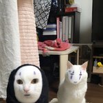 [댓글부탁해] 멤버보고 나만 <b>기겁</b>함?ㅋㅋㅋㅋㅋㅋ
