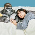 [드루와] 외로운 사람들을 위한 <b>베개</b>