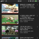 너네 요즘에 빠진거 있어?