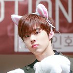 [엑스원] <b>김우석</b> 완전 인간 고양이 아니냐