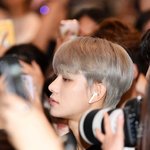 [NCT] 와! 엔시티보다 붙수니가 많다!