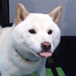 <b>미대</b>입시하는 고2-고3/<b>미대</b>생 들어와줘 ㅠㅠ