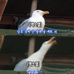[EXO] 애들 나오면 소리<b>질러</b>