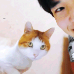 오늘 최병찬 브이앱 ㅈㄴ 알찼다 짐심