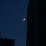 [ㅈㄱㄴ] 나 <b>범성</b>애자인데 무뚝뚝한 짝녀가