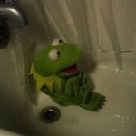 <b>물복숭아</b> vs 딱<b>복숭아</b>