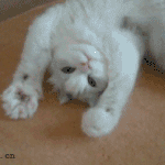 [인생<b>무상</b>] 기묘한 이야기(열일곱번째 -그곳에서 생긴일<下>)