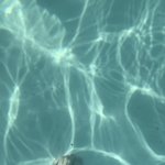 [드루와] 나 워터파크 잠금화면 제작 쓰닌데