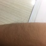 [댓글부탁해] 나처럼 <b>털</b> 긴사람 있냐