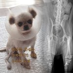 다시 <b>온전</b>한 걸음으로 따뜻함을 만나기를 바라는 공주