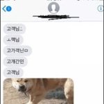 페북 처음하는데 페북 원래 이래?