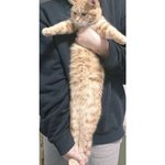 [드루와] 너네는 <b>sns</b>중에 어디 제일 좋아함??