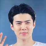 [세훈] 190803 <b>SMTOWN</b> IN TOKYO day1 프리뷰2