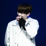 [드루와] 고양이 키우면 고양이가 집<b>나가</b>?