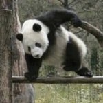 [댓글부탁해] 나 <b>망상</b> ㅈㄴ 많이 하는데ㅠㅜㅜ