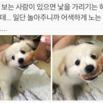 대학 고민 좀 ㄹㅇ <b>진지</b>