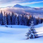 [드루와] 언더나인 <b>염도</b>염???