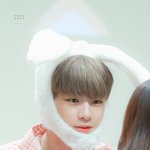 [모두드루와] 강다니엘 <b>토끼</b>????