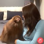 블핑 블랙핑크 제니 <b>쿠마</b>