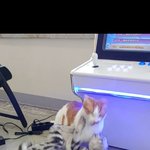 [댓글부탁해] 고<b>앵</b>들 싸우는거 ㅈㄴ 웃<b>김</b>ㅋㅋㅋㅋㅋ