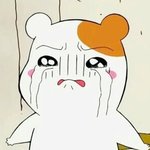 [조언부탁해] 남동생이 담배피는 거 같은데