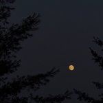[드루와] 텀블러 <b>갬성</b>짤 있는 사람람