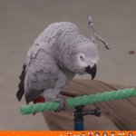 [EXO] 야 다섯살이라고 진짜 꿈나라 가면 <b>우짬</b>;;