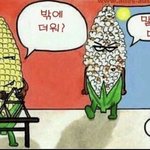 얘들아ㅋㅋㅅㅋㅅㅋ 나 열심히 하는게 없음