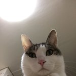 [드루와] 공학의 <b>묘미</b>는 비밀연애임