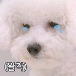 [EXO] 나 오늘 집 못간다