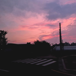 [댓글부탁해] 나 <b>수의학</b>과 가고싶은데