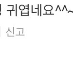 [모두드루와] 연애설 여돌 까이는 건 옛날 말인 듯