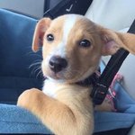 [댓글부탁해] 지금 우리나라 무슨 상황인거야 ?