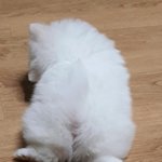 일 또 때려침 ㅋ