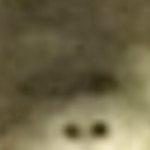 잠시 <b>검문</b>이 있겠습니다